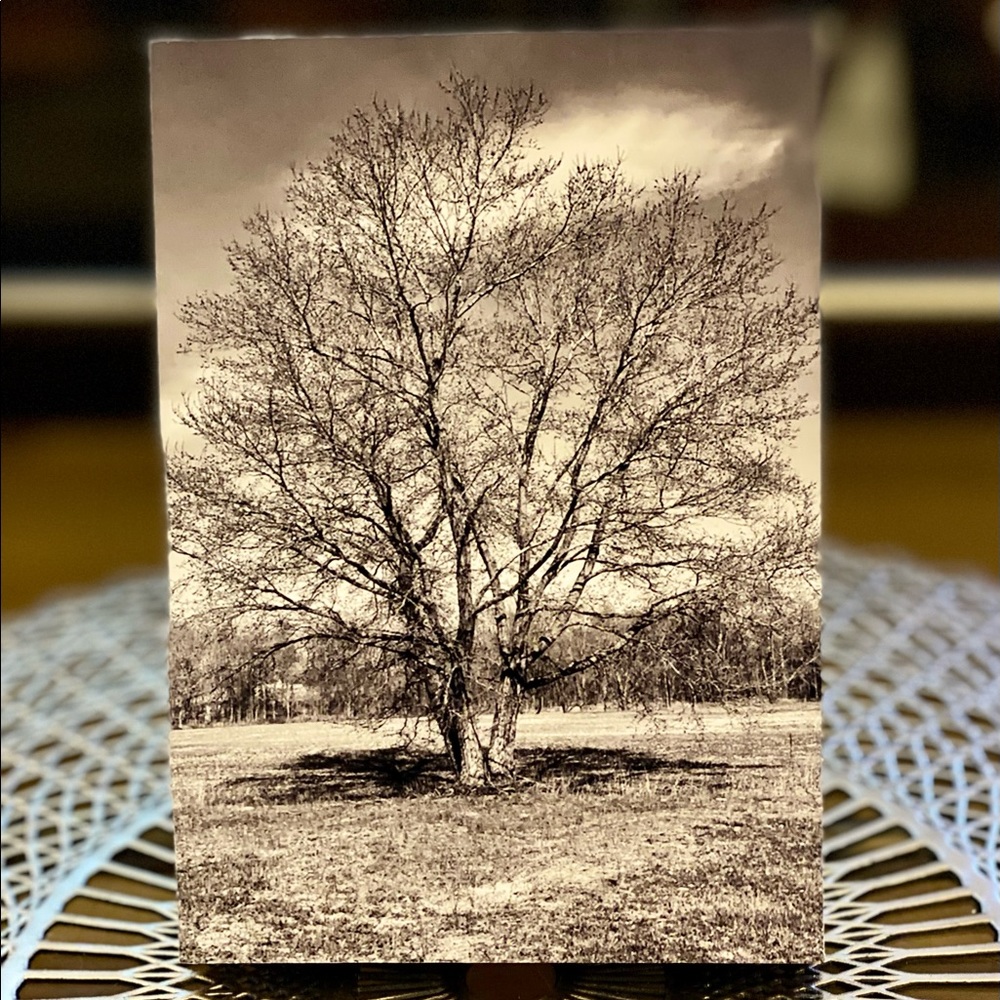 Tree of Life